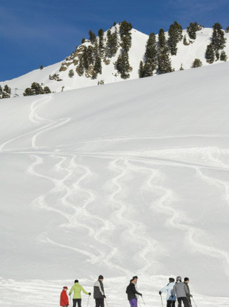 Powder Skiing, Mayrhofen Ski Resort, Zillertal Valley, Austrian Tyrol, Austria