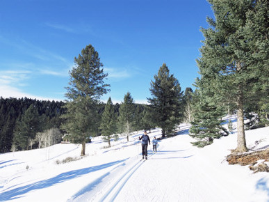 Cross Country Skiing, Lone Mountain, Montana, Western Area, Yellowstone, USA