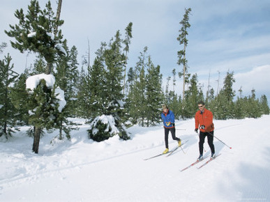 Cross Country Skiing at Rendevous, Western Area of Yellowstone, Montana, USA