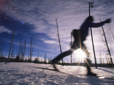 Silhouette of Of Women Cross County Skiing in Wyoming, Yellowstone