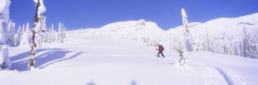 Person Skiing on a Snow Covered Landscape, Monashee Mountains, British Columbia, Canada