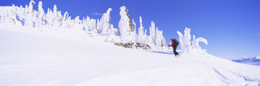 Person Skiing on a Snow Covered Landscape, Monashee Mountains, British Columbia, Canada