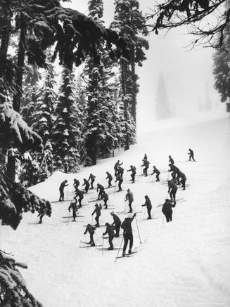 View of People Skiing at Steven's Pass