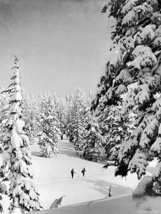 Skiing in Heavy Snow in Western Mountains