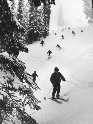 View of People Skiing at Steven's Pass