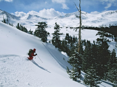 A Skier Skiing Backcountry Powder