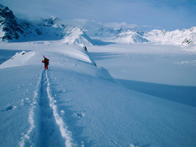 Skiing the Ruth Glacier