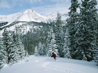 Backcountry Skiing into an Evergreen Forest