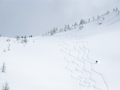 Skiing in Powder Basin, Purcell Mountains, British Columbia