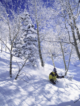 Side Profile of a Man Skiing