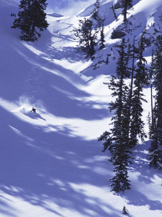 High Angle View of a Man Skiing