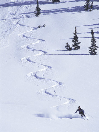 High Angle View of a Man Skiing