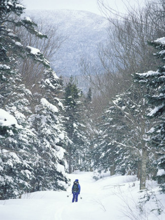 Backcountry Skiing on Saddleback Mountain, Northern Forest, Maine, USA