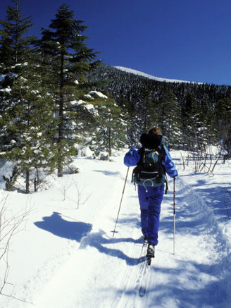 Backcountry Skiing on Saddleback Mountain, Northern Forest, Maine, USA