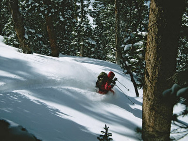 A Skier Skiing Backcountry Powder