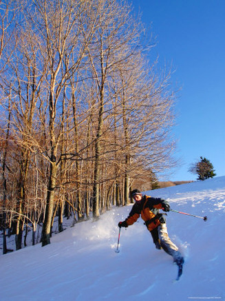 Teleskiing Powder in the West Virginia Back Country