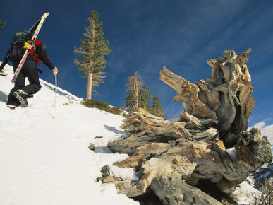 Man Spring Skiing-Ski Mountaineering