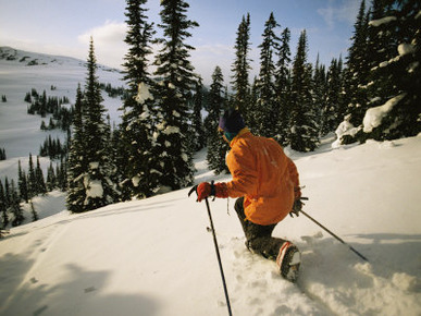 A Man Skiing the Dogtooth Range in the Afternoon