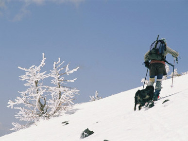 Cross-Country Skiing in the San Francisco Peaks