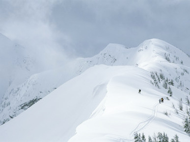 Skiing in Powder Basin, British Columbia