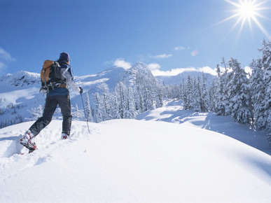 A Man Cross Country Skiing in the Selkirk Mountains