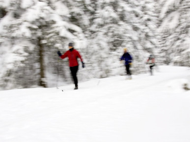 Cross Country Skiing on Spray River Trail, Banff, Alberta