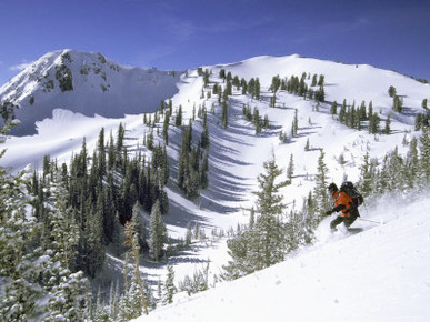 Side Profile of a Man Skiing