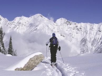 Rear View of a Man Skiing