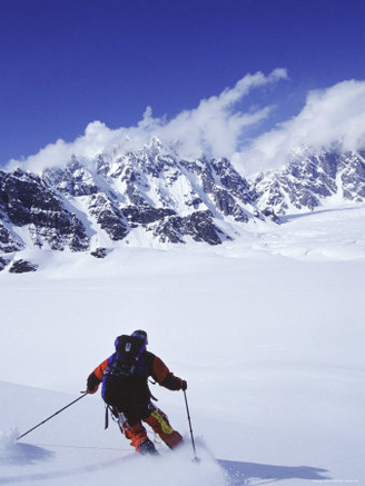 Rear View of a Man Skiing