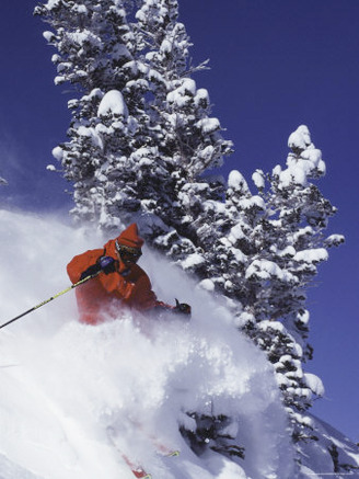 Low Angle View of a Man Skiing