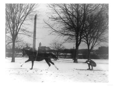 Man Skiing Behind a Horse Photograph - Washington, DC