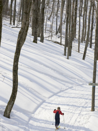 Little Boy Country Skiing on a Trail Through Snowy Woods, Canaan Valley, West Virginia