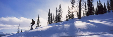 Woman Enjoys Backcountry Skiing in the Lizard Head Wilderness, Lizard Head Wilderness, Colorado