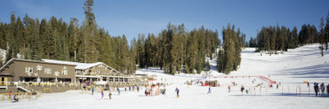 Group of People Skiing, Badger Pass Ski Area, Yosemite National Park, California, USA