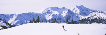 Person Skiing on a Snow Covered Landscape, Raft Mountain, Wells Gray Provincial Park