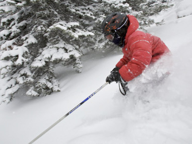 Eight-Year-Old Boy Skiing Past Trees on a Fresh Powder Day