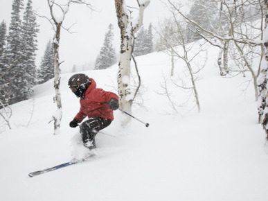 Eight-Year-Old Boy Skiing Through Trees on a Fresh Powder Day