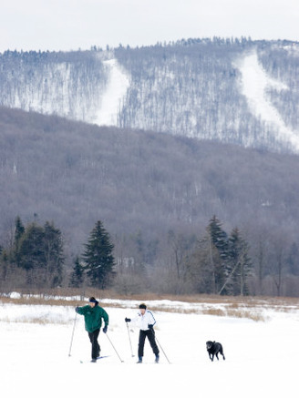 Couple and their Dog Cross Country Skiing on a Frozen Lake