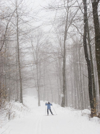 Woman Cross Country Skate Skiing Through the Woods