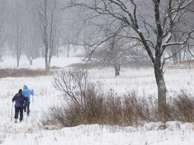 Two Women Cross Country Skiing in Falling Snow